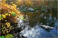 L'étand des Vaux de Cernay en automne. PAYSAGE
Photo de paysage
Photographie de nature et faune sauvage
Daniel Trinquecostes
Que nature vive 