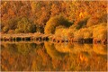 Les bords de l'étang de Corbet en automne. PAYSAGE
Photo de paysage
Photographie de nature et faune sauvage
Daniel Trinquecostes
Que nature vive 