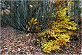 Dernières feuilles PAYSAGE
Photo de paysage
Photographie de nature et faune sauvage
Daniel Trinquecostes
Que nature vive 