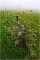 A Montier en Der ......pendant le festival . PAYSAGE
Photo de paysage
Photographie de nature et faune sauvage
Daniel Trinquecostes
Que nature vive 