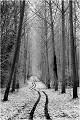A Rambouillet en hiver. PAYSAGE
Photo de paysage
Photographie de nature et faune sauvage
Daniel Trinquecostes
Que nature vive 