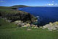 Cette île qui se situe à proximité de la capitale LERWICK est un paradis pour les ornithologues. Shetlands Ile 