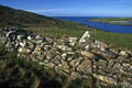 Sur l' île de Bressay, on rencontre comme ailleurs sur ces îles, de nombreux murs de pierres qui constituent autant de clotures pour les moutons. Shetlands Ile 