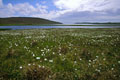 Paysage ouvert à tous vents ! Shetlands Ile 