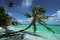 se site se trouve sur l'ile de la digue  