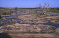 riviere à proximité de letaba  