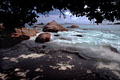 a l'ombre des feuillages la mer se meure sur la plage  