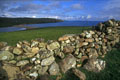 Paysage de ronass Voe avec les murs de pierre si caractéristiques des Shetland. Shetlands Ile 