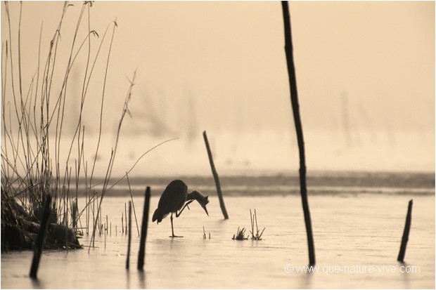 SUR LA GLACE