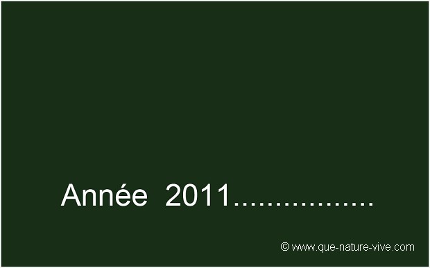 Année 2011