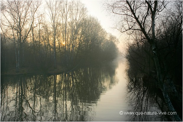 BROUILLARD