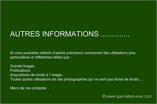 AUTRES INFORMATIONS