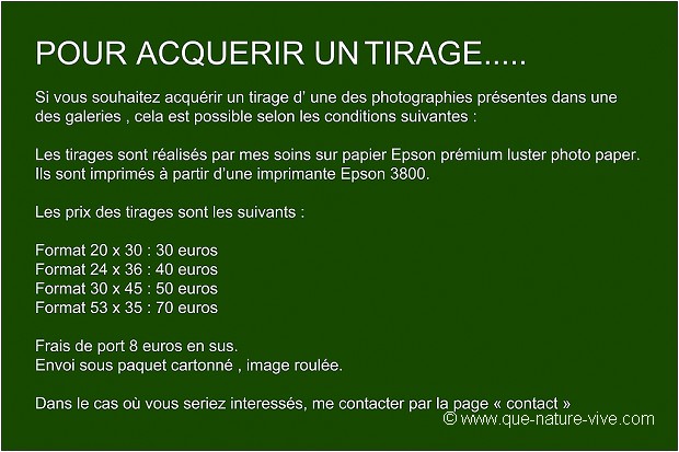 INFORMATIONS de VENTE