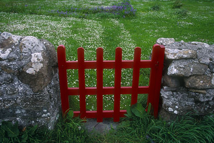 Barrière de fleurs