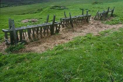 Mangeoire à moutons