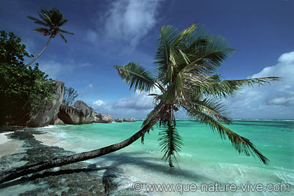 anse source d'argent 2