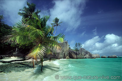 anse source d'argent 4