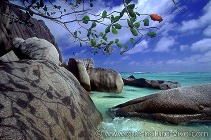 anse source d'argent 6