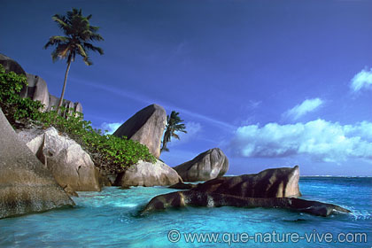 anse source d'argent 8