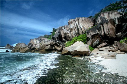 la digue