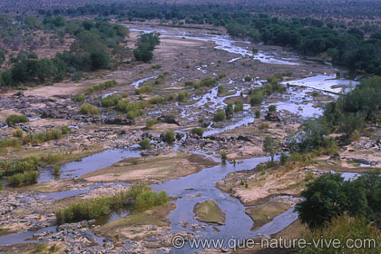 olifant's river