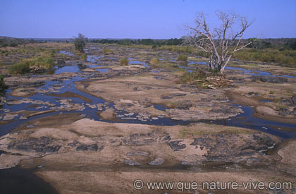 riviere asséchée