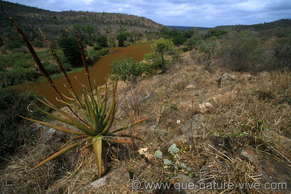 au nord de lower sabie