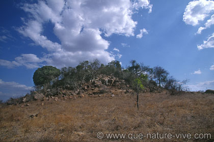 letaba's hill