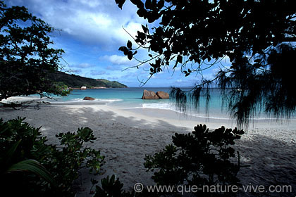 anse lazio 2