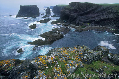 Falaises d' Esha Ness