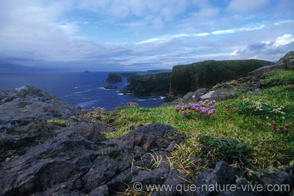 Falaises d' Esha Ness 3